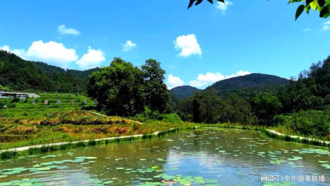 抖音涨赞网站全网推广：创意内容吸引自然关注策略