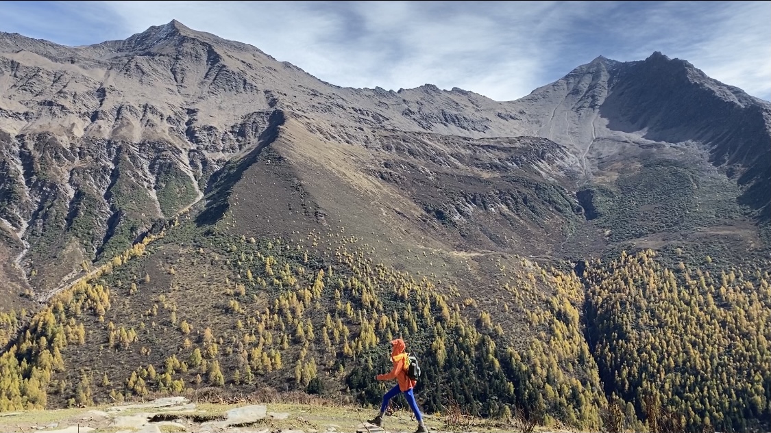 本周线下推广数字化构建您的人事平台:赋能内容传播的利器,ks点赞自助点赞下单平台超低价：粉丝互动新玩法引爆社群活跃度